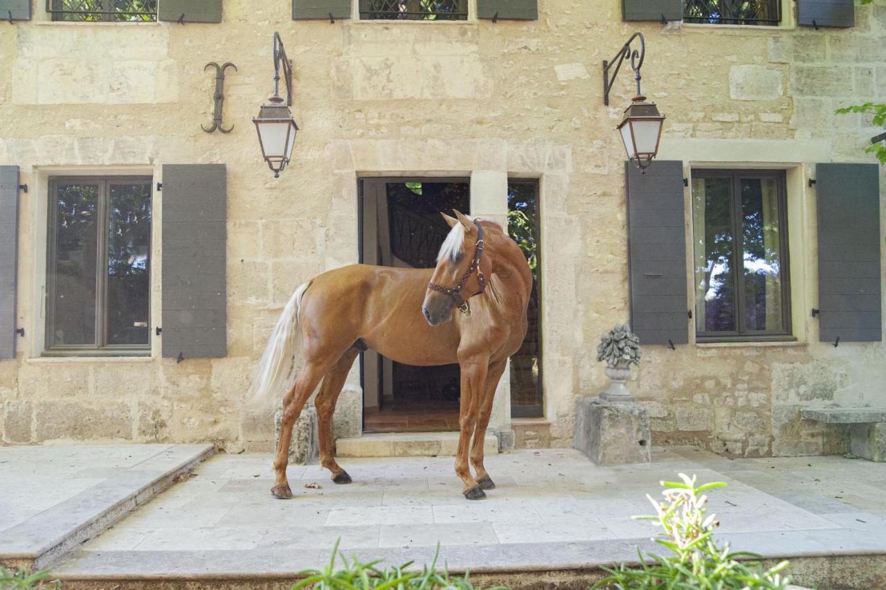 Domaine Cap Rubis Bed & Breakfast Paradou Exterior foto