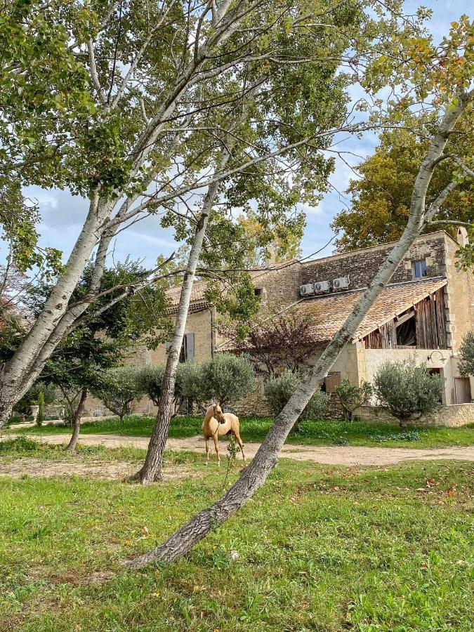 Domaine Cap Rubis Bed & Breakfast Paradou Exterior foto